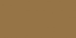 Lifecolor UA537 RAF Dark Earth 22ml