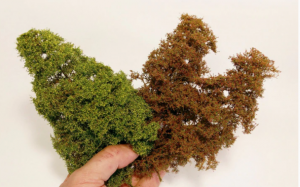 Model Scene (Peco) 701-03S Fine Bushes - late summer