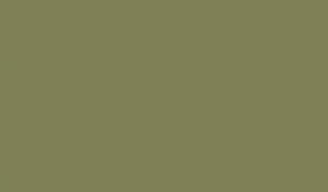 Lifecolor UA471 - Medium Green 22ml