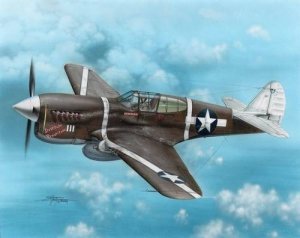 Special Hobby 72149 P-40F Warhawk Guadalcanal Hawks (1:72)