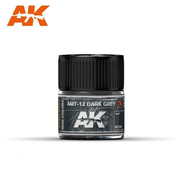 AK Interactive RC318 AMT-12 DARK GREY 10ML