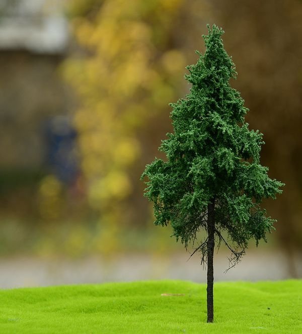 FREON SWP1 Norway spruce - Świerk Pospolity pień wysoki (leśny) 18/20cm