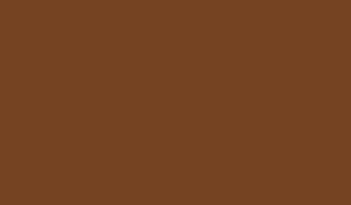 Lifecolor UA477 - Leder Braun 22ml