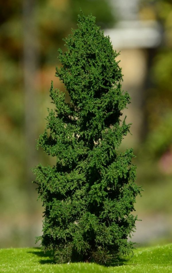 FREON MPN4 Larch - Modrzew pień niski (Pełny) 25/28cm