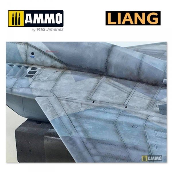 Liang 0006 Salt Weathering Effects Airbrush Stencils (Sparse)