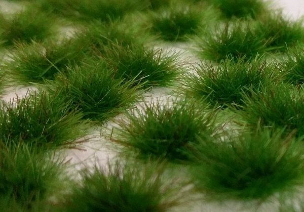Model Scene 050-42S Two coloured tufts Early Summer