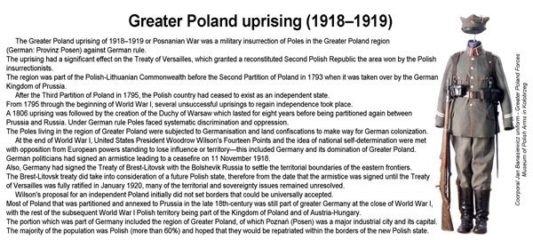 ToRo Model 35F119 Powstanie Wielkopolskie 1918 - Dowódca Placówki Powstańczej  / Greater Poland Uprising 1918 Insurgent post Commander 1/35