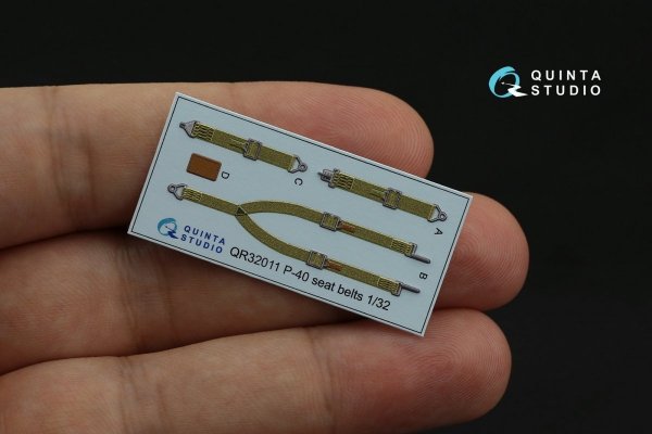 Quinta Studio QD32116 Hawk 81-A2 3D-Printed &amp; coloured Interior on decal paper (GWH) 1/32