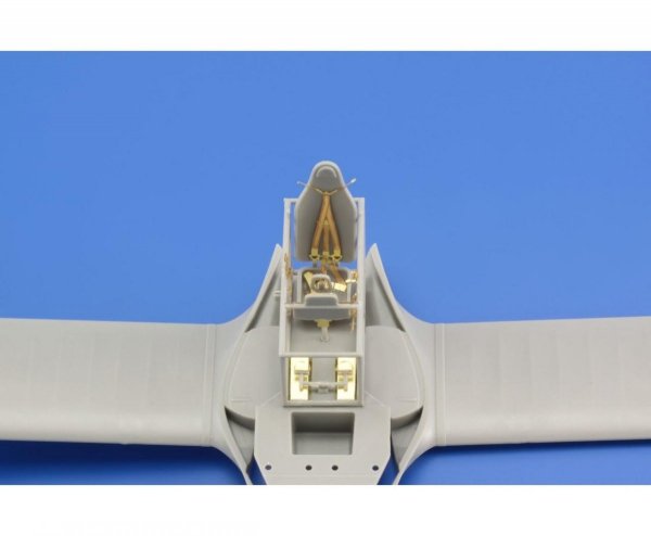 Eduard 49760 I-153 Chaika ICM 1/48
