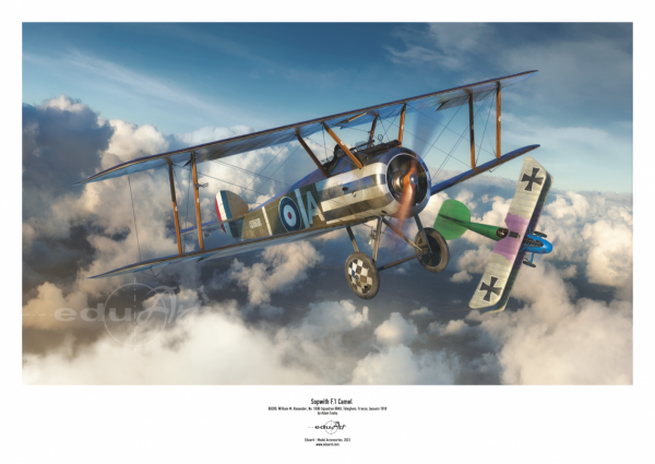 Eduard 8486 Sopwith F.1 Camel (Clerget) 1/48