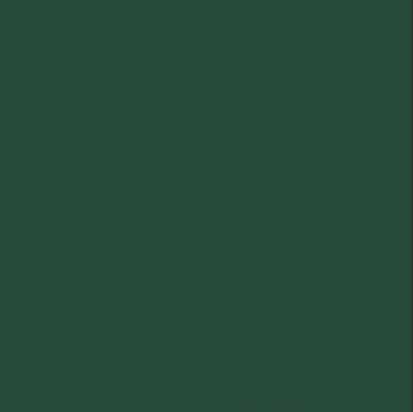 Gunze Sangyo C525 Green Japanese Army AFV Early