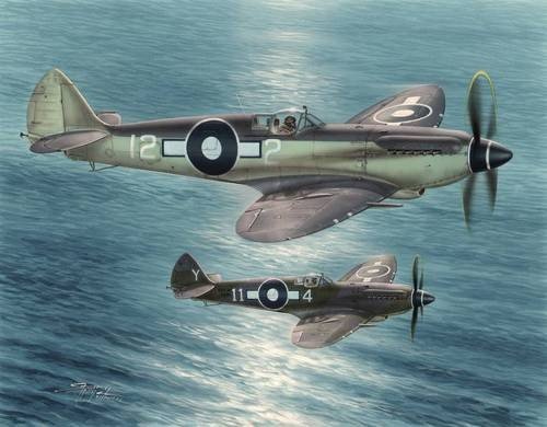 Special Hobby 48116 Seafire F Mk.XV Far East Service (1:48)
