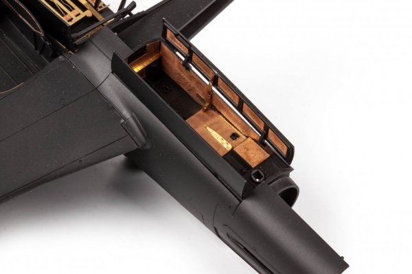 Eduard 491354 Do 335A TAMIYA 1/48