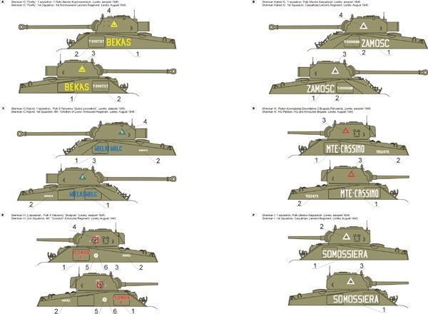 ToRo Model 35D30 - Polish Shermans in Italy, 2nd Polish Corps 1945 vol.2 1/35