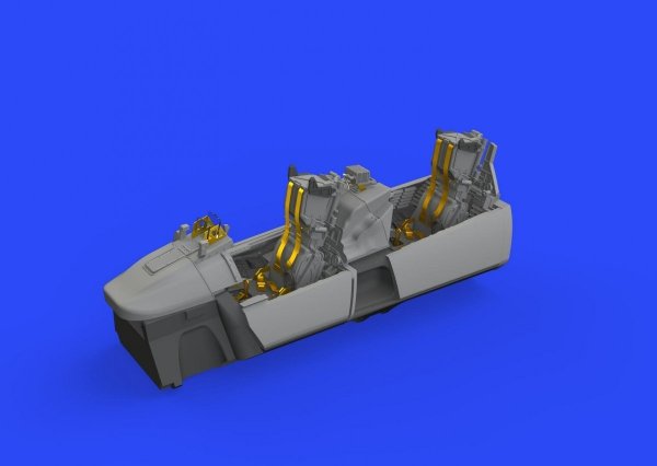 Eduard SIN648102 F-14D TAMIYA 1/48