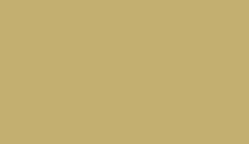 Lifecolor UA480 - Kaki 22ml