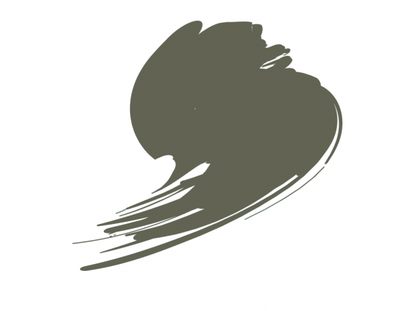 Hataka HTK-C202 BS Dark Slate Grey (BS381C:634) 17ml