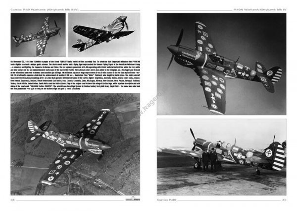 Kagero 3043 Curtiss P-40 vol. III EN