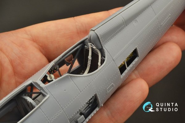 Quinta Studio QD32113 PZL P.11c 3D-Printed &amp; coloured Interior on decal paper (IBG model) 1/32