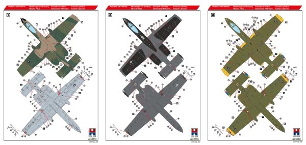 Hobby 2000 48029 A-10C Special Schemes 1/48