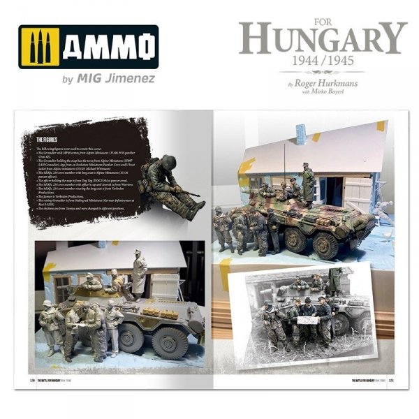 Ammo of Mig 6280 The Battle for Hungary 1944/1945 (English)