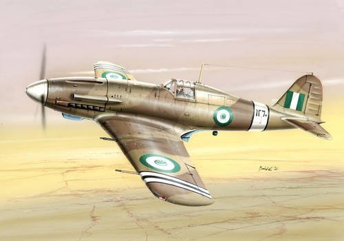 Special Hobby 48087 Fiat G.55A Post War Service (1:48)