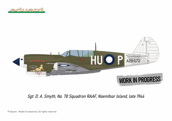 Eduard R0025 P-40N WARHAWK ROYAL CLASS DUAL COMBO 1/48