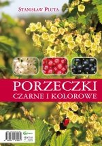 Porzeczki czarne i kolorowe