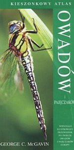 Kieszonkowy atlas owadów i pajęczaków