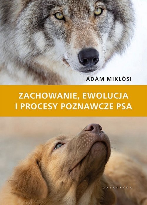 Zachowanie ewolucja i procesy poznawcze psa
