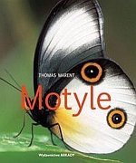 Motyle /Arkady
