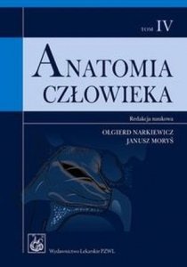 Anatomia człowieka tom 4 Podręcznik dla studentów /PZWL