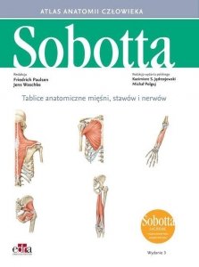 Tablice anatomiczne mięśni, stawów i nerwów Łacińskie mianownictwo