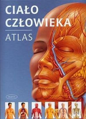 Ciało człowieka Atlas