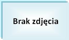 Opaska zaciskowa Qoltec | 2.5*100 | 100szt | nylon UV | Czarna