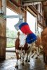 Czochradło automatyczne HAPPYCOW MaxiSwing 