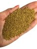 Lucerna ziarno 1kg