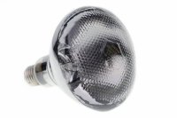 Żarówka, promiennik podczerwieni, 175 W, biała, Can Agri 