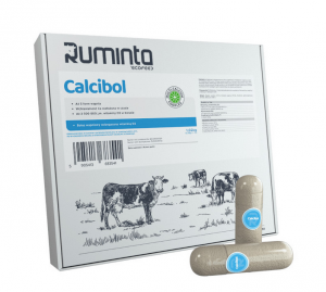 Bolus wapniowy z pięcioma formami wapnia - Calcibol