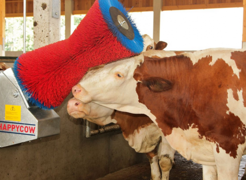 Czochradło automatyczne HAPPYCOW Uno Kerbl