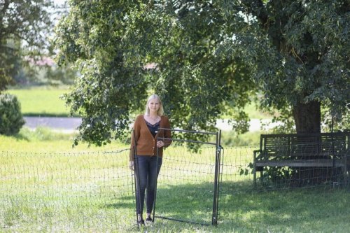 Furtka, bramka wejściowa do siatki elektrycznej