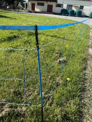 Siatka WildNet - ochrona przed dzikami - 50m x 90cm 