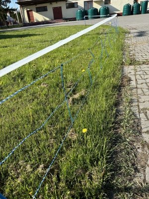 Siatka WildNet - ochrona przed dzikami - 50m x 90cm 