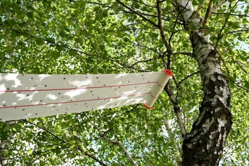  Lep na muchy do obory, chlewni, kurnika 25 cm x 10 m 