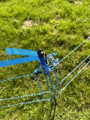 Siatka WildNet - ochrona przed dzikami - 50m x 90cm 