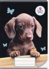 4x Zeszyt A5 w linię 32 kartki THE SWEET PETS KOTEK PIESEK (112600SET4CZ)