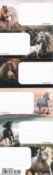 Nalepki naklejki na zeszyty STARPAK koń konie HORSES 6 sztuk mix (536023)