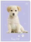 4x Zeszyt A5 w kratkę 16 kartek Puppy Sign mix (26921SET4)