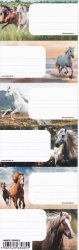 Nalepki naklejki na zeszyty STARPAK koń konie HORSES 6 sztuk mix (536023)
