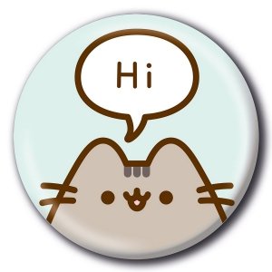 PRZYPINKA PUSHEEN NA PLECAK BLUZĘ Kot Kotek (PB2401428)